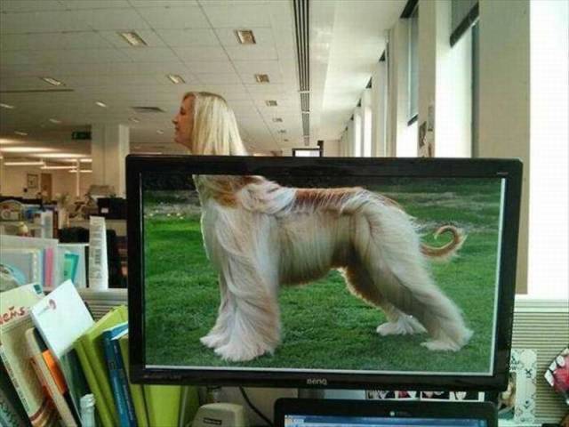 daily picdump 91 pics 65.html - 91 HD Photos | Premium Gallery 2015