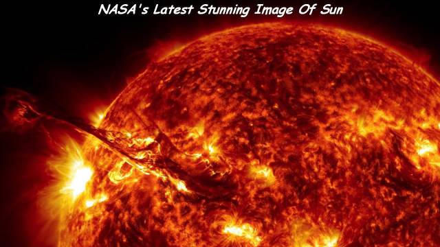 daily picdump 91 pics 65.html - 91 HD Photos | Premium Gallery 2015