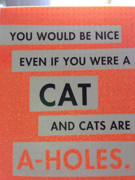 morning picdump 52 pics 3.html - 52 HD Photos | Premium Gallery 2015