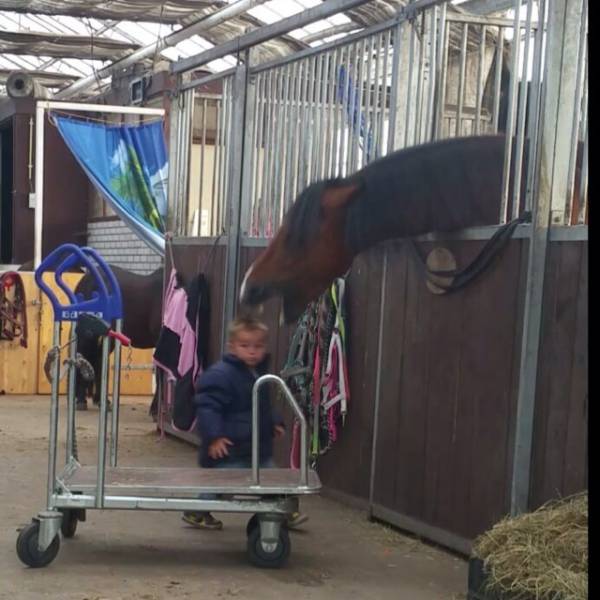 morning picdump 52 pics 3.html - 52 HD Photos | Premium Gallery 2015