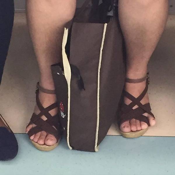 Daily Picdump
