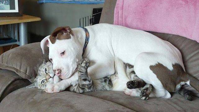 Daily Picdump