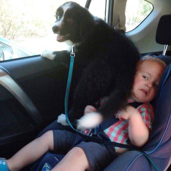 Daily Picdump