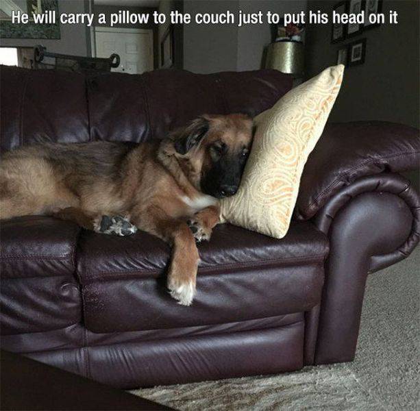 Daily Picdump