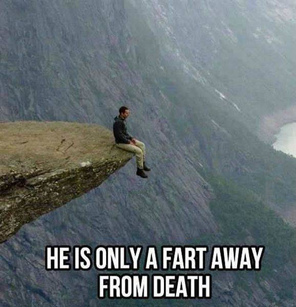 Daily Picdump