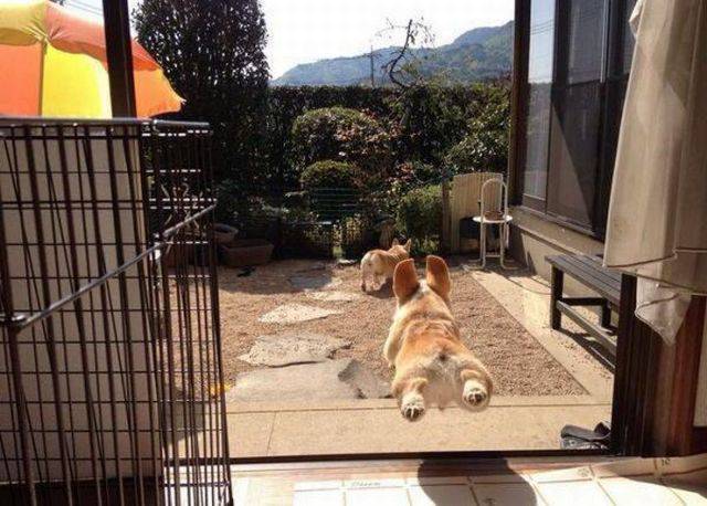 Daily Picdump