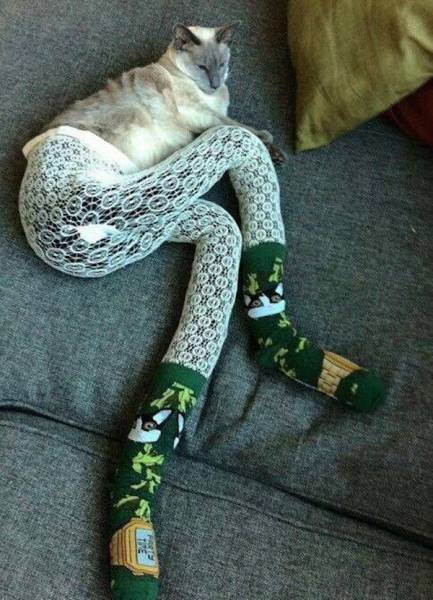daily picdump 101 pics 21.html - 101 HD Photos | Premium Gallery 2015