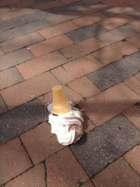 daily picdump 101 pics 21.html - 101 HD Photos | Premium Gallery 2015