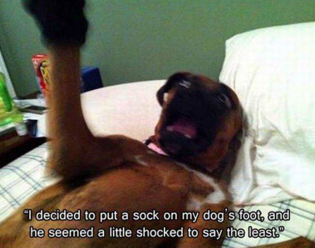 daily picdump 101 pics 21.html - 101 HD Photos | Premium Gallery 2015