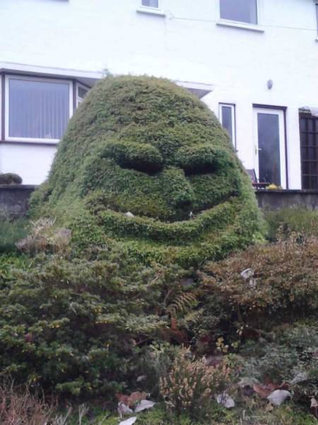daily picdump 101 pics 21.html - 101 HD Photos | Premium Gallery 2015