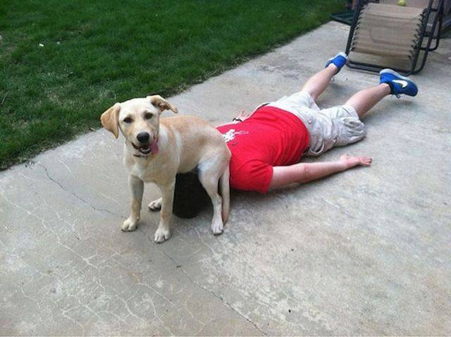 daily picdump 101 pics 21.html - 101 HD Photos | Premium Gallery 2015