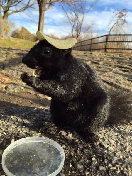 daily picdump 101 pics 21.html - 101 HD Photos | Premium Gallery 2015