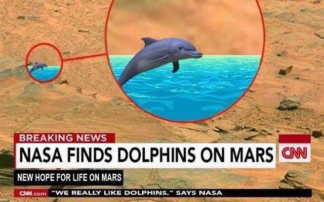 daily picdump 101 pics 21.html - 101 HD Photos | Premium Gallery 2015