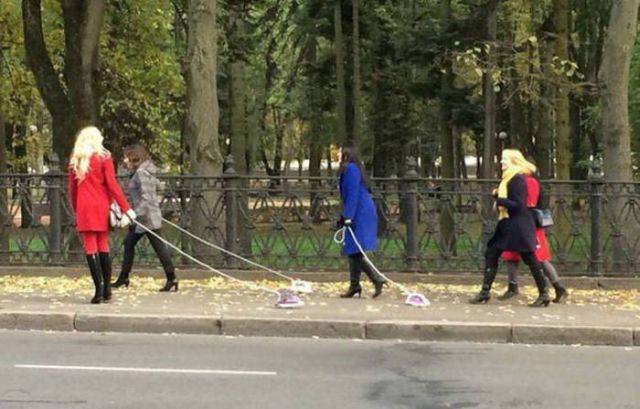 daily picdump 101 pics 21.html - 101 HD Photos | Premium Gallery 2015