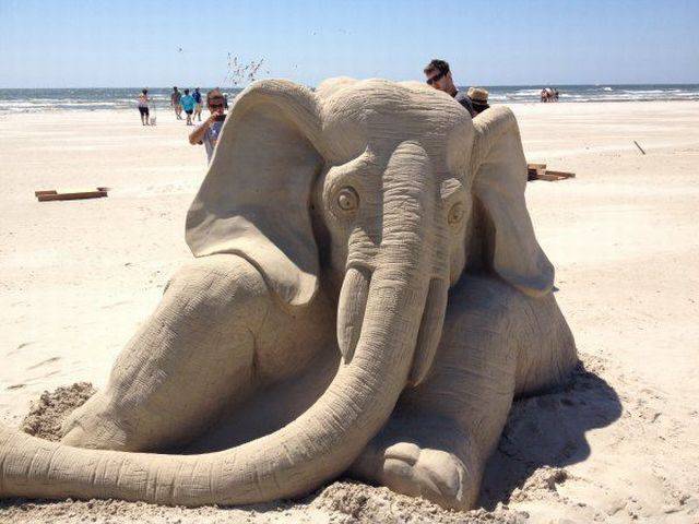 daily picdump 101 pics 21.html - 101 HD Photos | Premium Gallery 2015