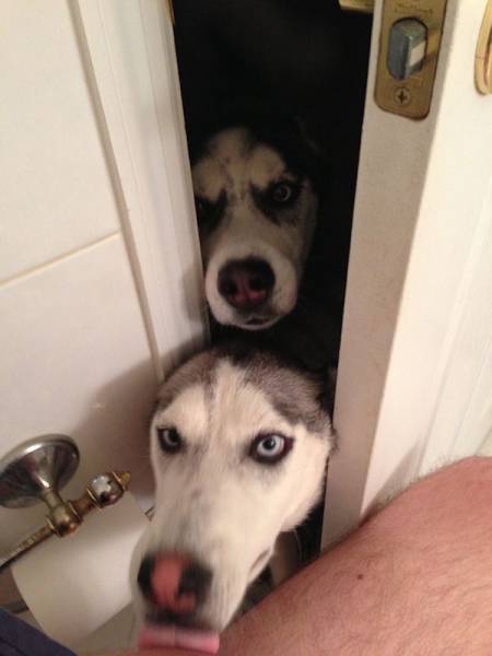daily picdump 101 pics 21.html - 101 HD Photos | Premium Gallery 2015