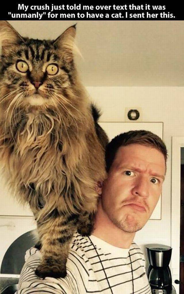 daily picdump 101 pics 21.html - 101 HD Photos | Premium Gallery 2015