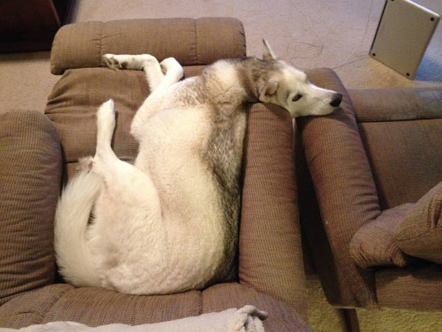 morning picdump 51 pics 24.html - 51 HD Photos | Premium Gallery 2015