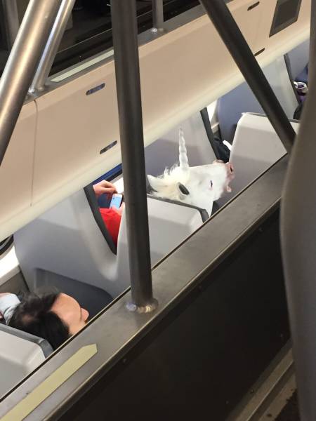 morning picdump 51 pics 24.html - 51 HD Photos | Premium Gallery 2015