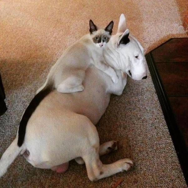 daily picdump 98 pics 78.html - 98 HD Photos | Premium Gallery 2015