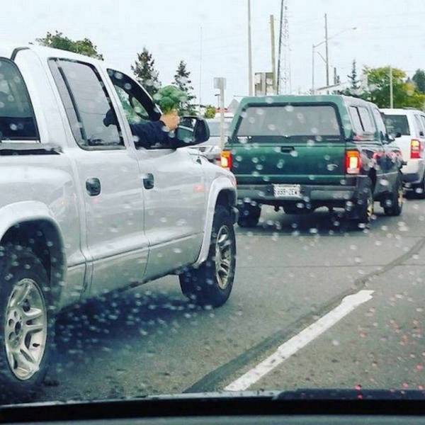 daily picdump 98 pics 78.html - 98 HD Photos | Premium Gallery 2015