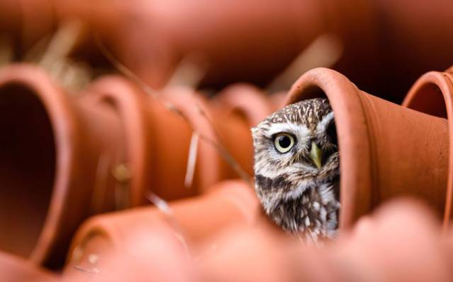 daily picdump 98 pics 78.html - 98 HD Photos | Premium Gallery 2015