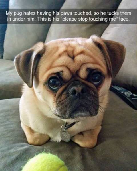 daily picdump 98 pics 78.html - 98 HD Photos | Premium Gallery 2015