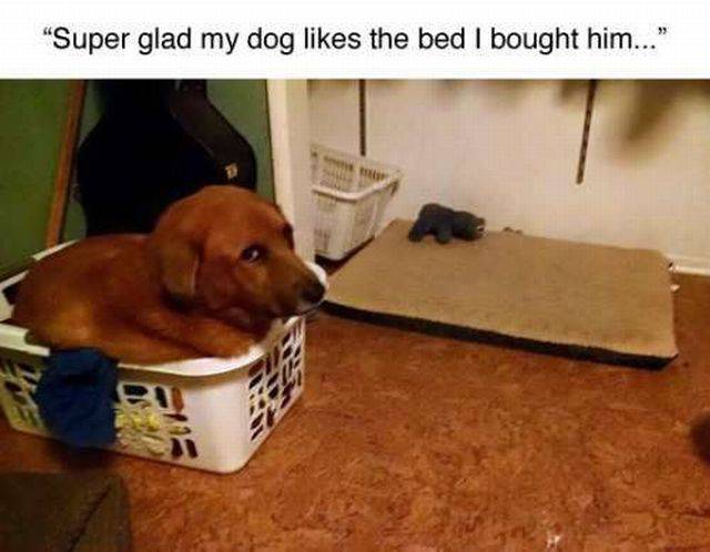 daily picdump 98 pics 78.html - 98 HD Photos | Premium Gallery 2015