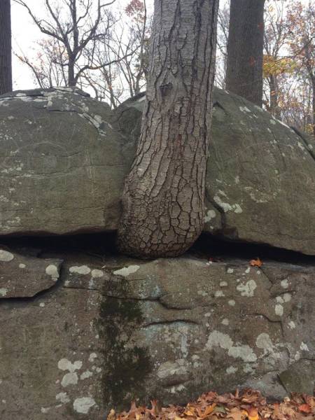 daily picdump 98 pics 78.html - 98 HD Photos | Premium Gallery 2015