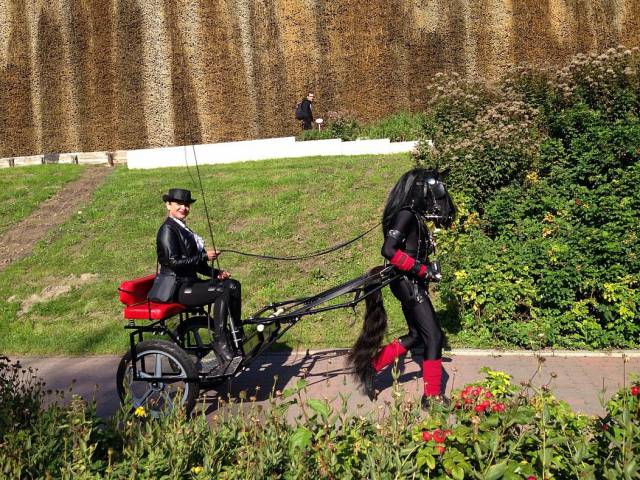 daily picdump 98 pics 78.html - 98 HD Photos | Premium Gallery 2015