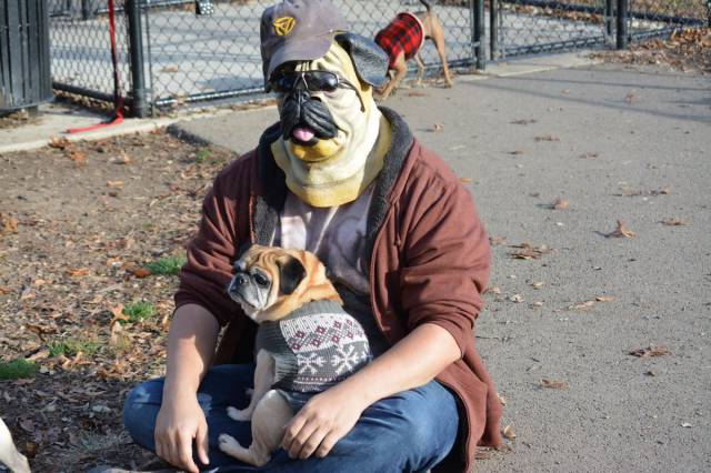 daily picdump 98 pics 78.html - 98 HD Photos | Premium Gallery 2015