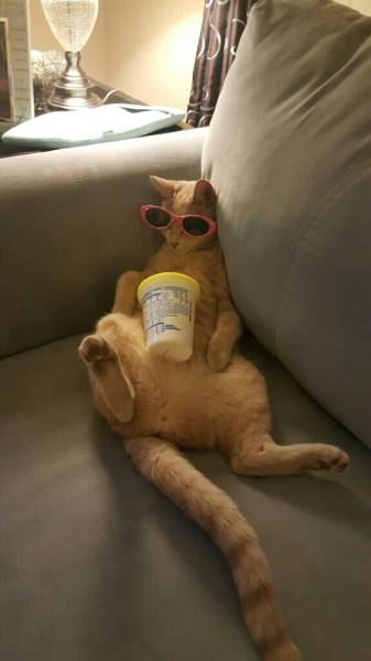 daily picdump 98 pics 78.html - 98 HD Photos | Premium Gallery 2015