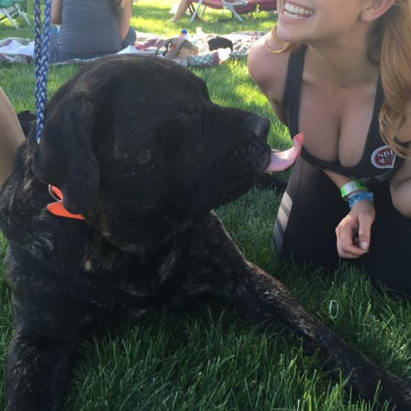 daily picdump 98 pics 78.html - 98 HD Photos | Premium Gallery 2015