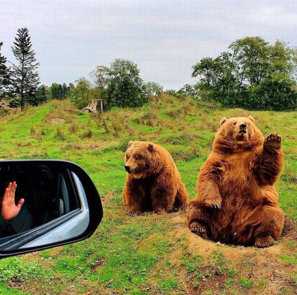 daily picdump 98 pics 78.html - 98 HD Photos | Premium Gallery 2015