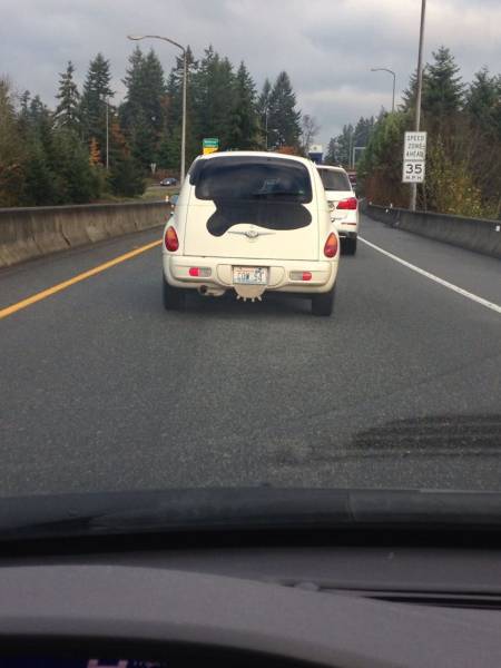 daily picdump 98 pics 78.html - 98 HD Photos | Premium Gallery 2015