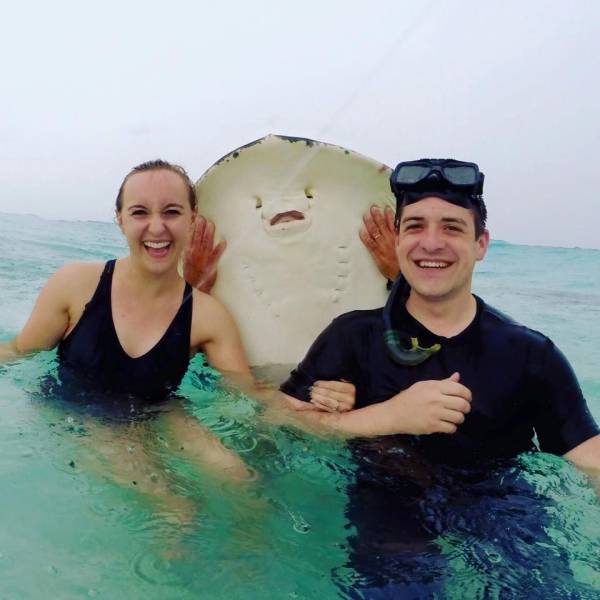 daily picdump 98 pics 78.html - 98 HD Photos | Premium Gallery 2015