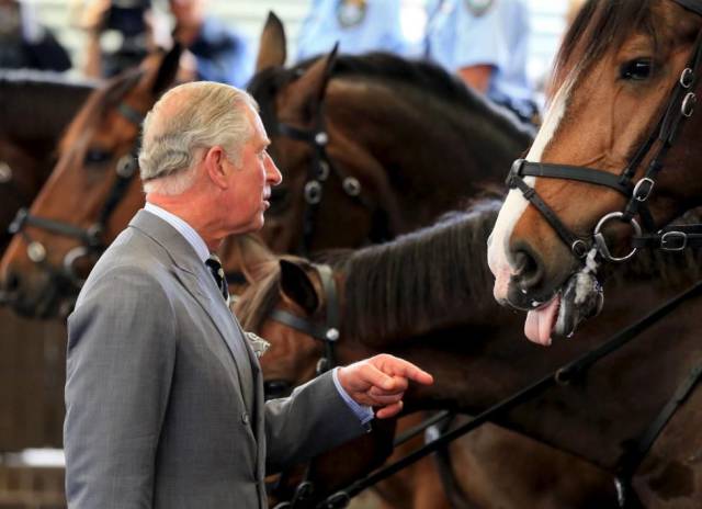 daily picdump 98 pics 78.html - 98 HD Photos | Premium Gallery 2015