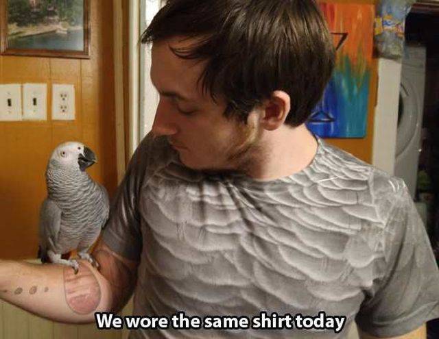 daily picdump 98 pics 78.html - 98 HD Photos | Premium Gallery 2015