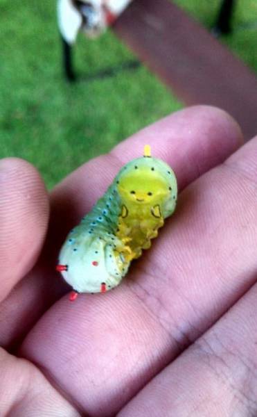 morning picdump 50 pics 2.html - 50 HD Photos | Premium Gallery 2015