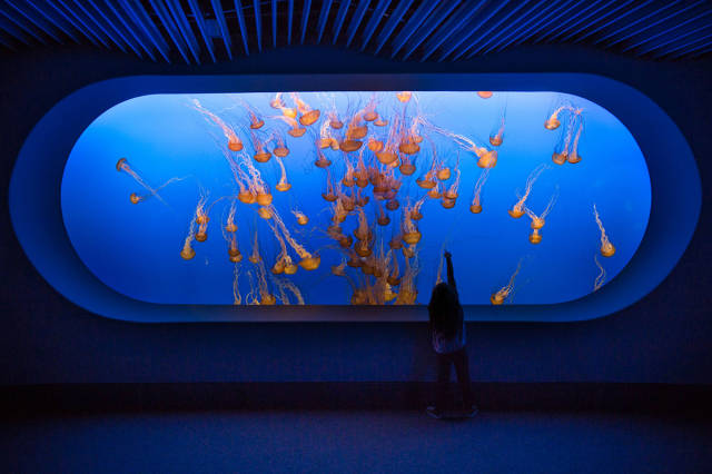 morning picdump 50 pics 2.html - 50 HD Photos | Premium Gallery 2015