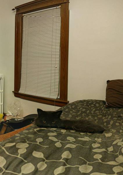 morning picdump 50 pics 2.html - 50 HD Photos | Premium Gallery 2015