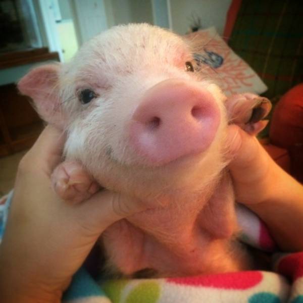 morning picdump 50 pics 2.html - 50 HD Photos | Premium Gallery 2015