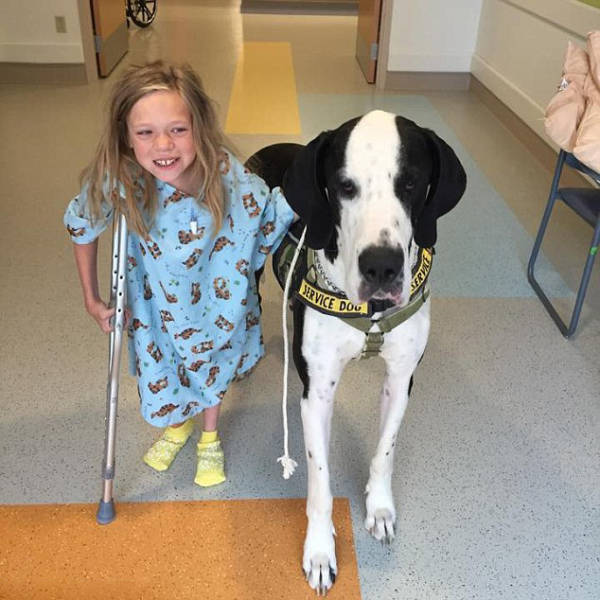 morning picdump 50 pics 2.html - 50 HD Photos | Premium Gallery 2015