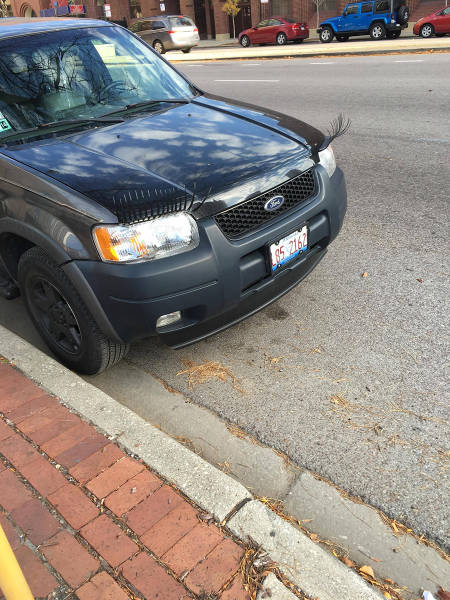 morning picdump 50 pics 2.html - 50 HD Photos | Premium Gallery 2015