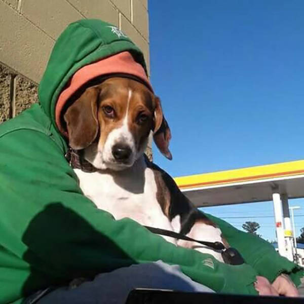 morning picdump 50 pics 2.html - 50 HD Photos | Premium Gallery 2015