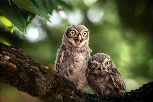 daily picdump 105 pics 17.html - 105 HD Photos | Premium Gallery 2015