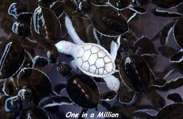 daily picdump 105 pics 17.html - 105 HD Photos | Premium Gallery 2015