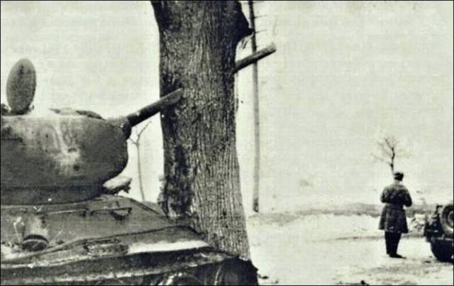 daily picdump 105 pics 17.html - 105 HD Photos | Premium Gallery 2015