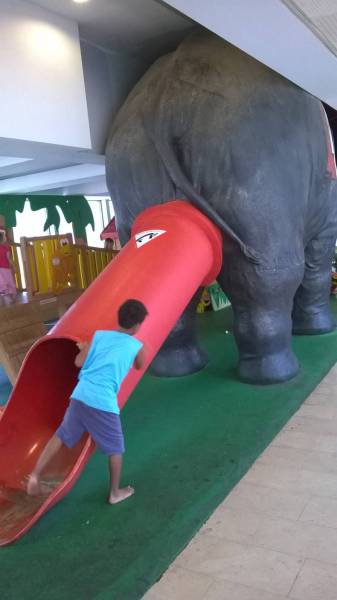 daily picdump 105 pics 17.html - 105 HD Photos | Premium Gallery 2015