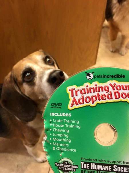 daily picdump 105 pics 17.html - 105 HD Photos | Premium Gallery 2015